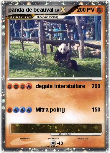 Pokemon panda de beauval