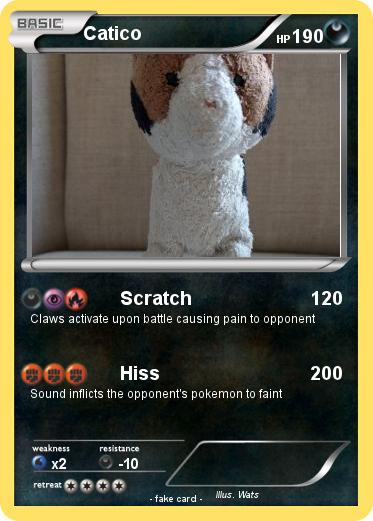 Pokemon Catico