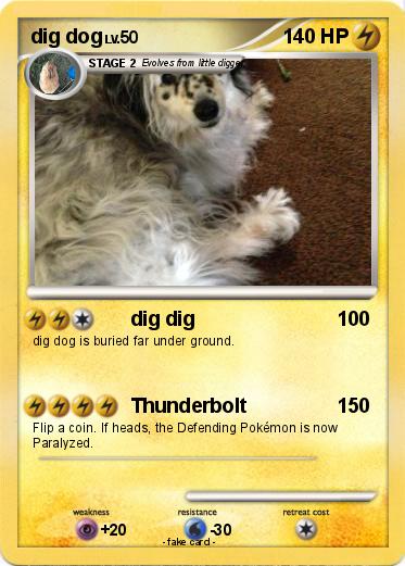 Pokemon dig dog
