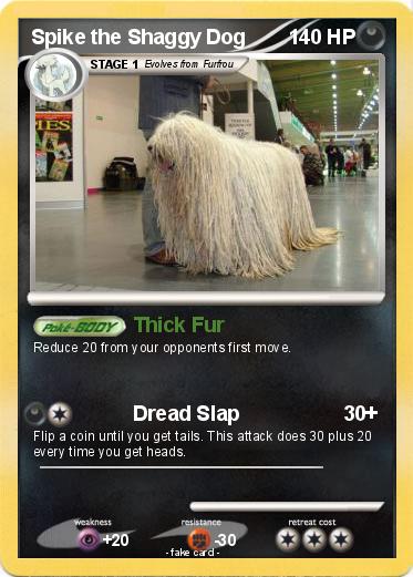 Pokemon Spike the Shaggy Dog