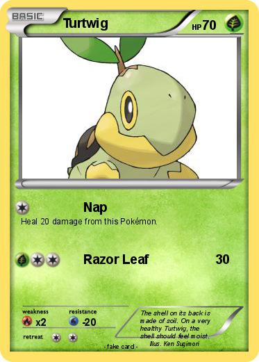 Pokemon Turtwig
