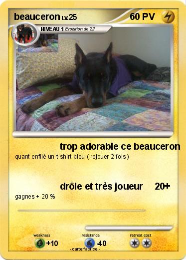 Pokemon beauceron