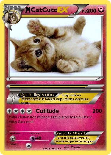Pokemon CatCute