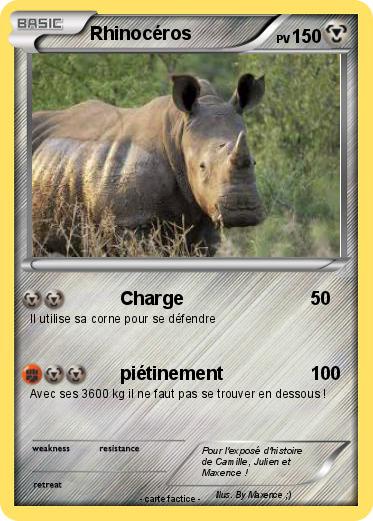 Pokemon Rhinocéros