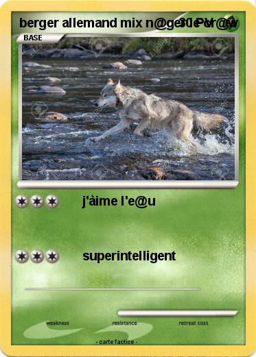 Pokemon berger allemand mix n@ger le cr@w