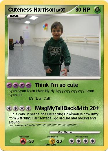 Pokemon Cuteness Harrison