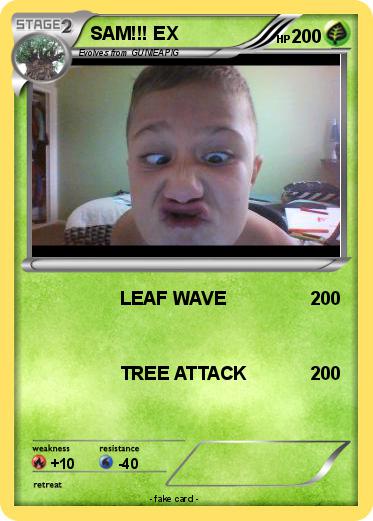 Pokemon SAM!!! EX