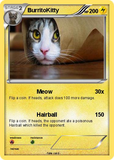 Pokemon BurritoKitty