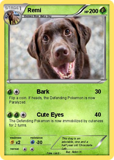Pokemon Remi