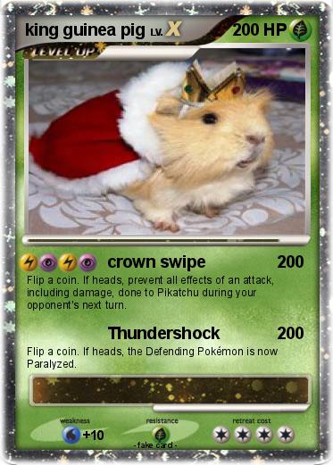 Pokemon king guinea pig