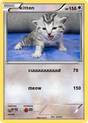 Pokemon kitten