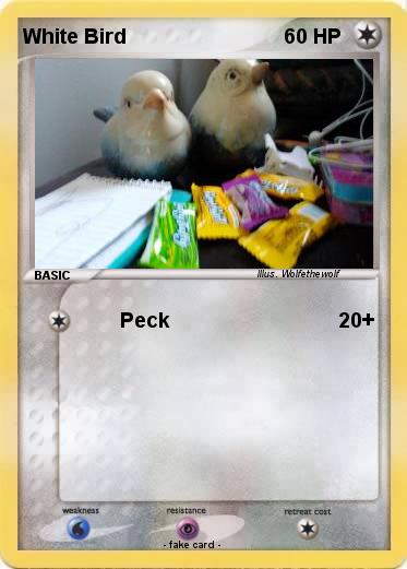 Pokemon White Bird