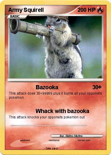 Pokemon Army Squirell