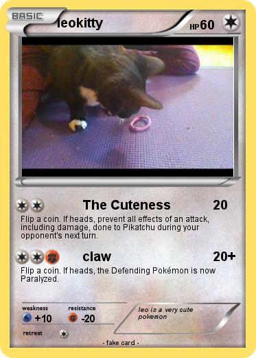 Pokemon leokitty