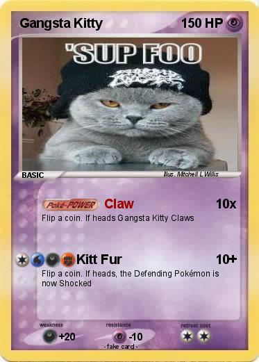 Pokemon Gangsta Kitty
