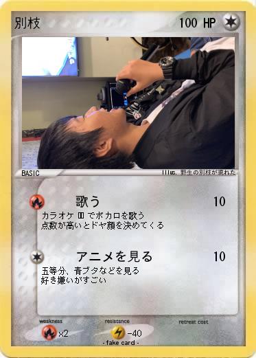 Pokemon 別枝