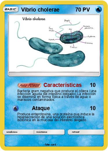 Pokemon Vibrio cholerae