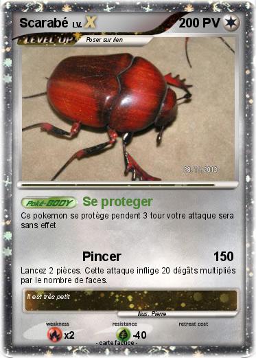 Pokemon Scarabé
