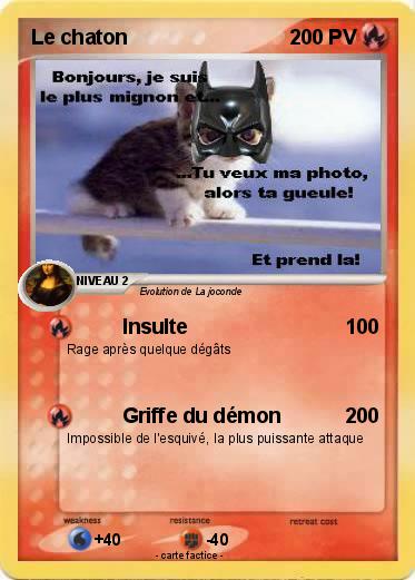 Pokemon Le chaton