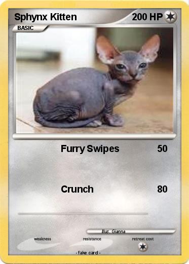 Pokemon Sphynx Kitten