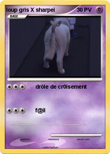 Pokemon loup gris X sharpei