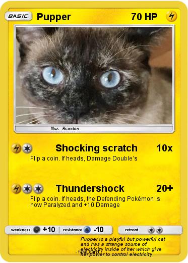 Pokemon Pupper