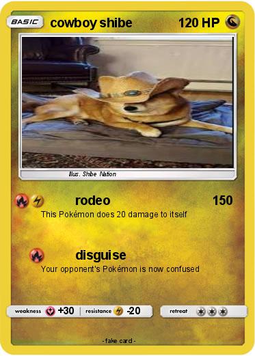 Pokemon cowboy shibe