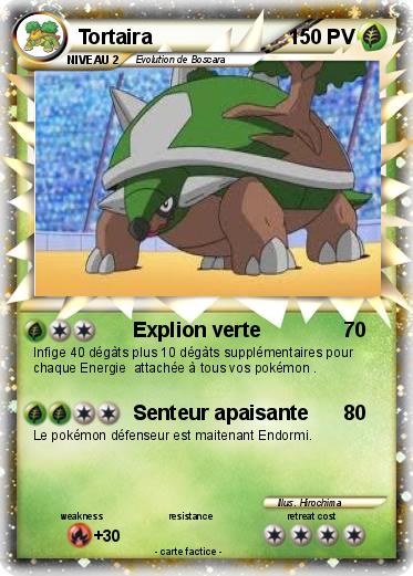 Pokemon Tortaira