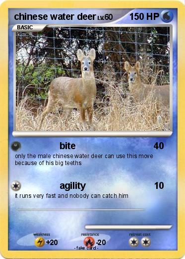 Pokemon chinese water deer