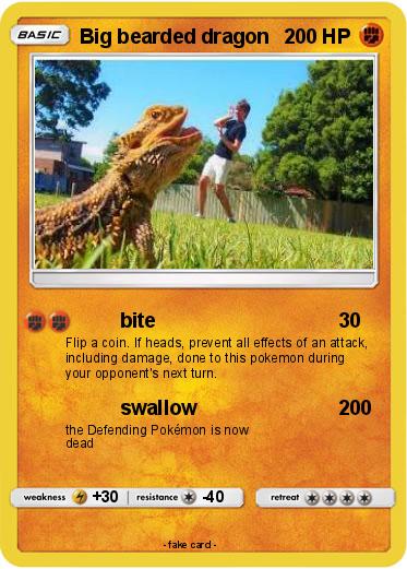 Pokemon Big bearded dragon