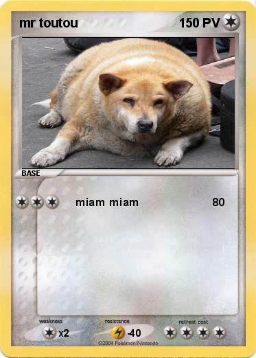 Pokemon mr toutou