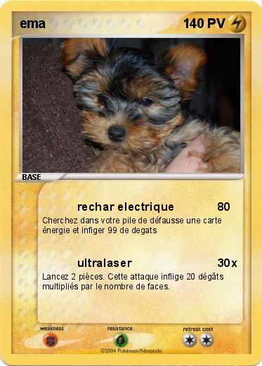 Pokemon ema