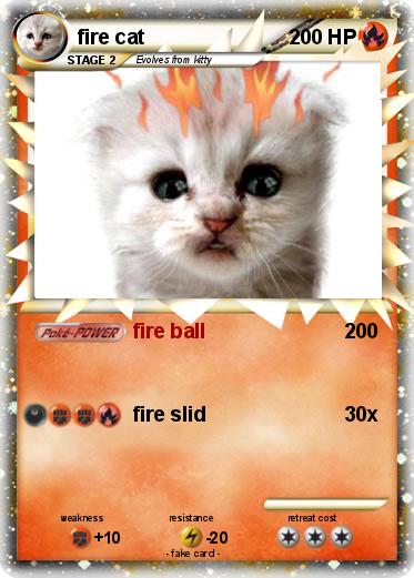 Pokemon fire cat