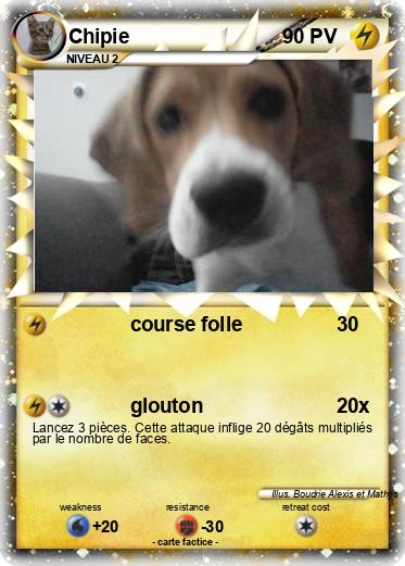 Pokemon Chipie