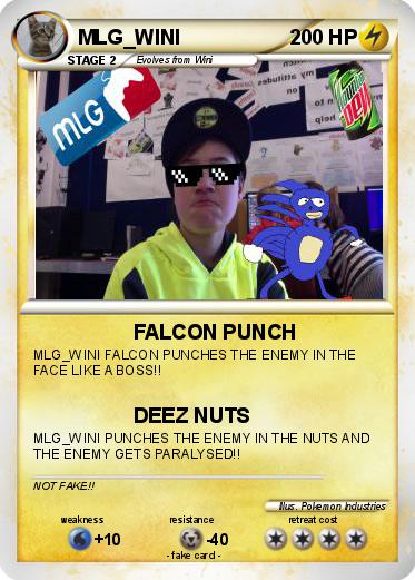 Pokemon MLG_WINI