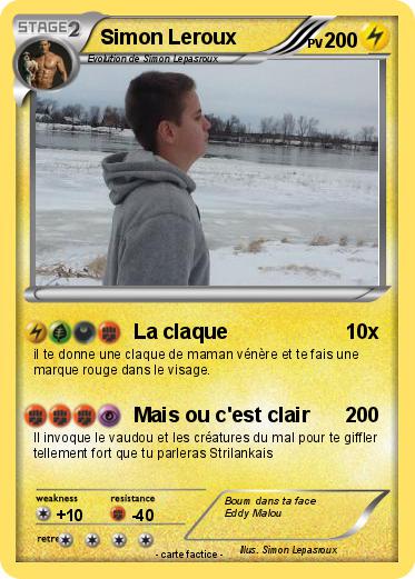 Pokemon Simon Leroux
