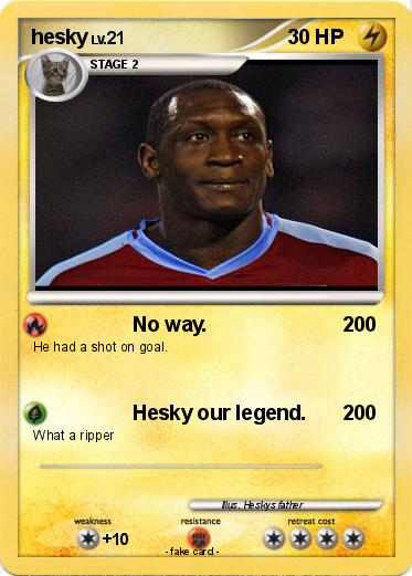 Pokemon hesky
