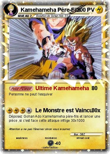 Pokemon Kamehameha Père-Fils