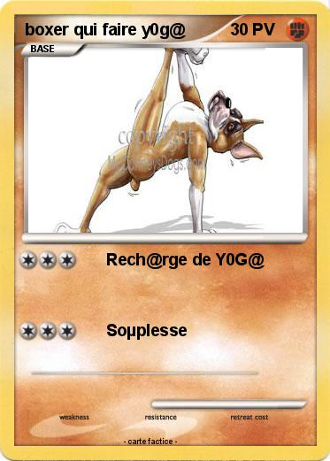Pokemon boxer qui faire y0g@