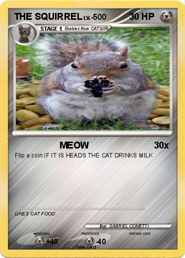 Pokemon THE SQUIRREL