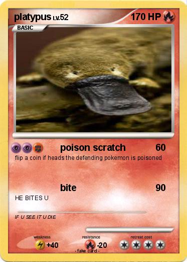 Pokemon platypus