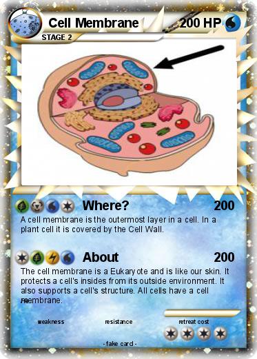 Pokemon Cell Membrane