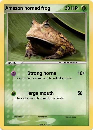 Pokemon Amazon horned frog