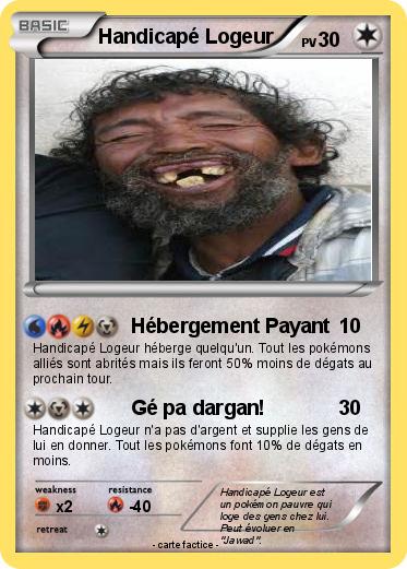 Pokemon Handicapé Logeur