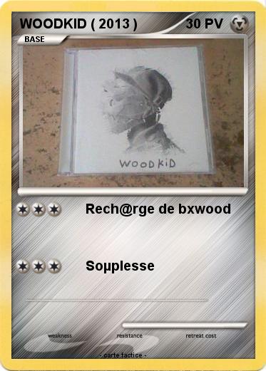 Pokemon WOODKID ( 2013 )
