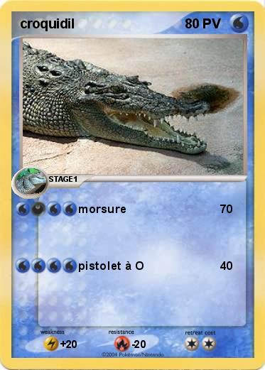 Pokemon croquidil