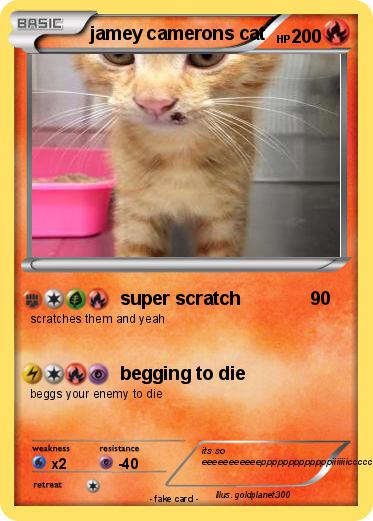 Pokemon jamey camerons cat