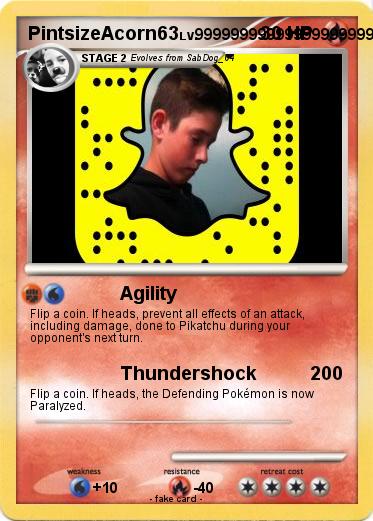 Pokemon PintsizeAcorn63