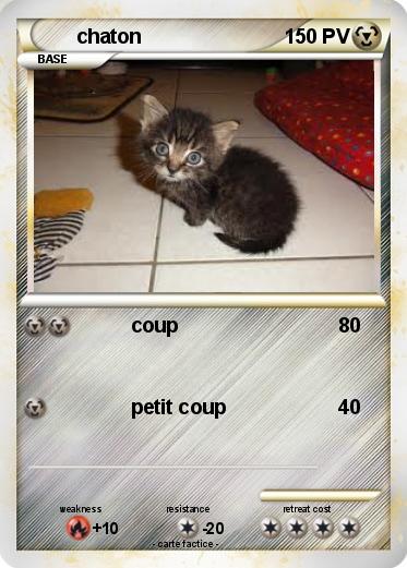 Pokemon chaton