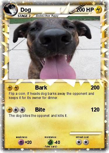 Pokemon Dog